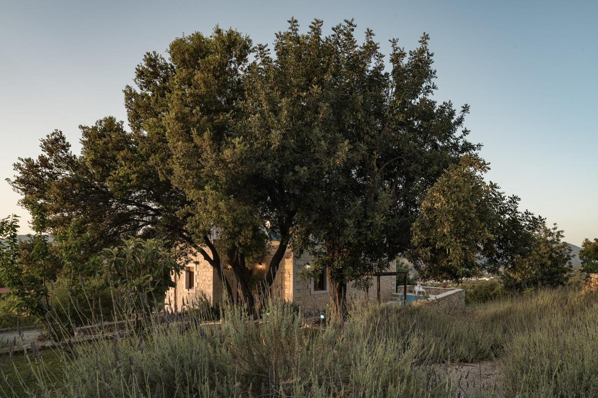Koules Estate, With Private Pools & Bbq - Embracing Nature, By Thinkvilla Argouli Ruang foto
